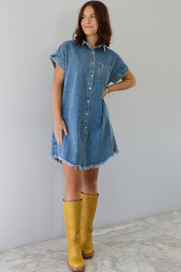 Stir Things Up Dress: Denim